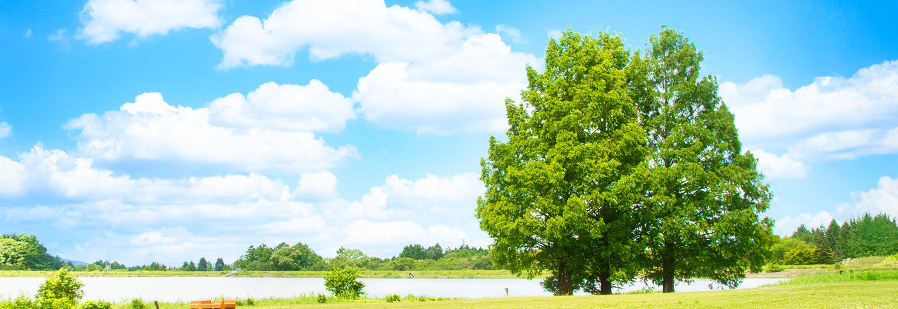 キービジュアルイメージ01